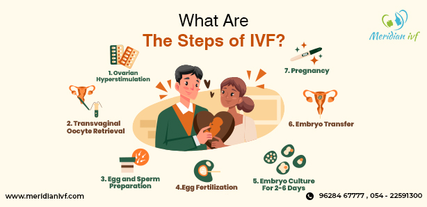 What are the steps of IVF